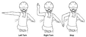 Traffic Signals 